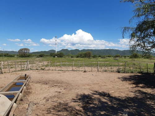 Campo En Venta Sobre Ruta 146 San Francisco, San Luis
