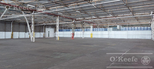 Alquiler Galpón 10.000 M2 Cir 2 En Pesos Al Oficial Expensas Incluidas!! Zona Sur Berazategui