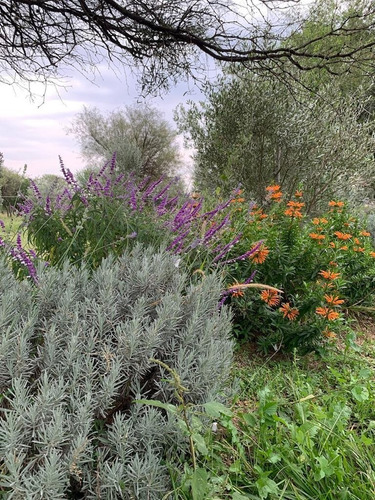 Terreno En San Javier
