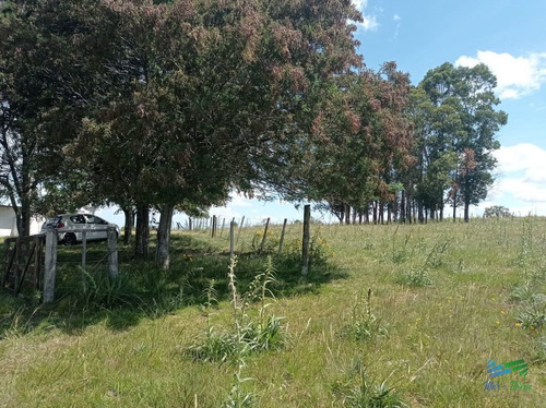 Imagen 18 de 20 de Vendo Chacra 5 Hectateas Con Casa En Ruta 39, Las Cañas - Las Cañas Las Cañas