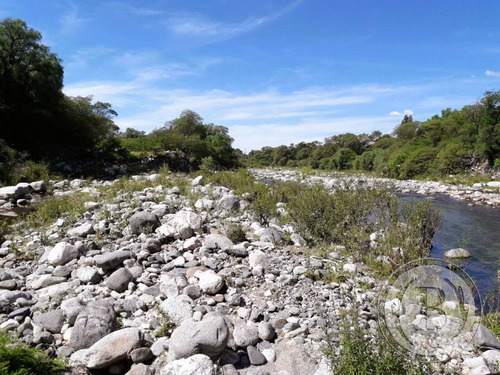 Bustamante Prop 12028 Lote Venta San Francisco Del Monte De Oro San Luis