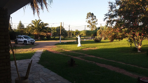Imagen 5 de 19 de Chalet Y 4 Casas Alquiladas En Sauce Canelones