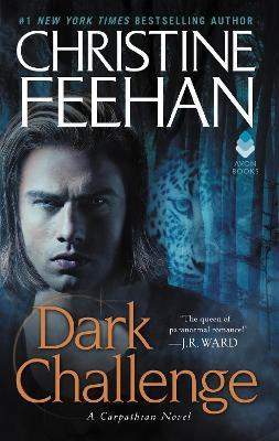 Libro Dark Challenge