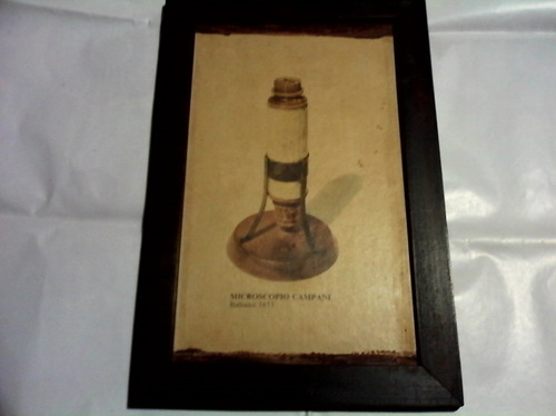Microscopio Campani -italiano-1673-lamina Mas Marco-antiguo- (Usado)