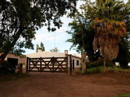 Imagen 6 de 19 de Finca 13 Ha En Cañada Seca - San Rafael