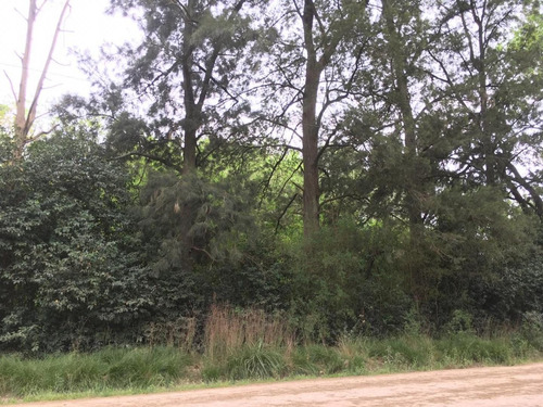 Imagen 2 de 3 de Lote En Marcos Paz
