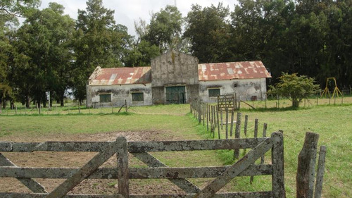 Imagen 7 de 12 de Campo Mixto En Las Flores De 200 Has . A 3 Km De Ruta 3