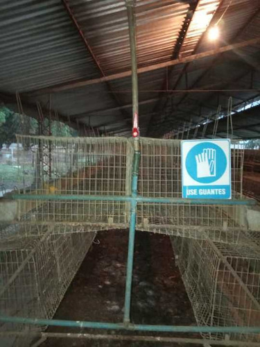 Finca De 12 Hectareas De Gallinas Ponedoras En Villa De Cura