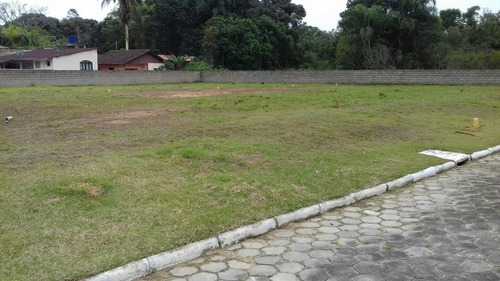 Imagem 6 de 13 de Terreno No Centro Com 0 Quartos Para Venda, 257 M² - Ft1177