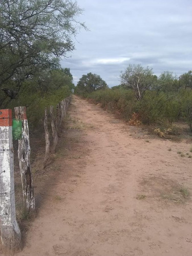 Imagen 5 de 11 de Excelente Campo En Venta, 1.800 Hectáreas Ganaderas, Depto Minas, Cordoba.