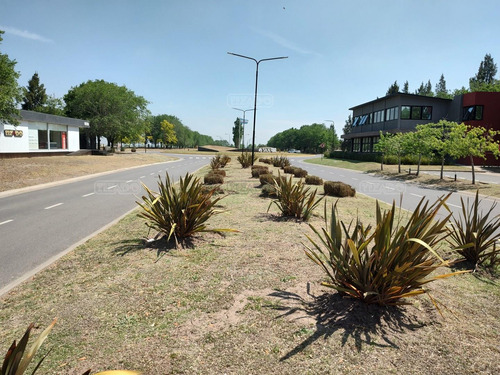 Terreno Lote En Venta En San Sebastian - Area 11, San Sebastian, Escobar