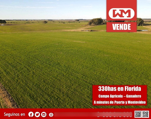 Venta Campo Flores 330 Has Agrícola Ganadero Alto Porcentaje En Chacras A Minutos De Puerto Y Cuidad De Montevideo