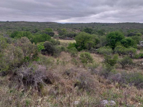 Imagen 1 de 8 de Vendo Lote En San Nicolas
