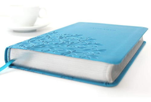 Imagen 2 de 6 de Biblia Reina Valera 1960 Letra Grande Símil Piel Azul, Libro