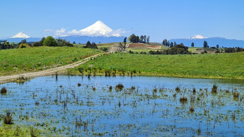 Parcela En Condominio Abedules Del Lago-llanquihue