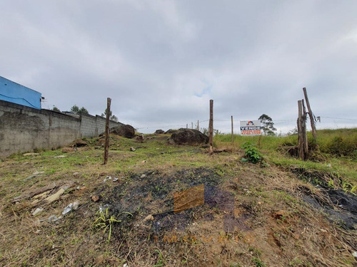 Imagem 2 de 9 de Terreno Para Venda Em Suzano, Parque Residencial Samambaia - 880_1-1656718