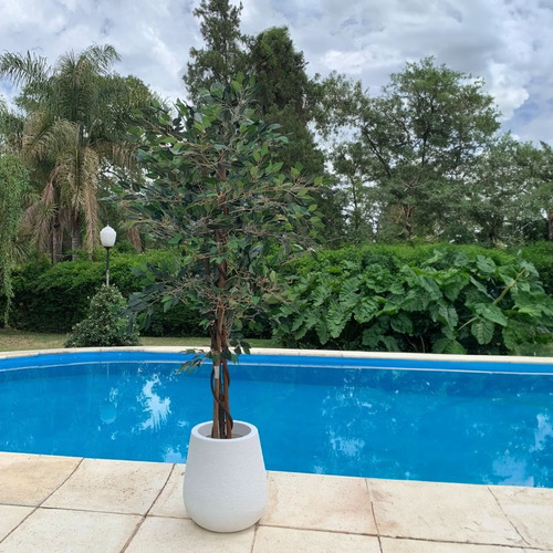 Ficus Árbol Planta Artificial Grande Exterior 2.40 Mts