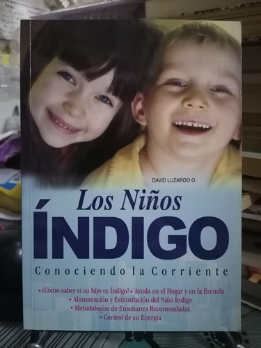 Los Niños Índigo / David Luzardo