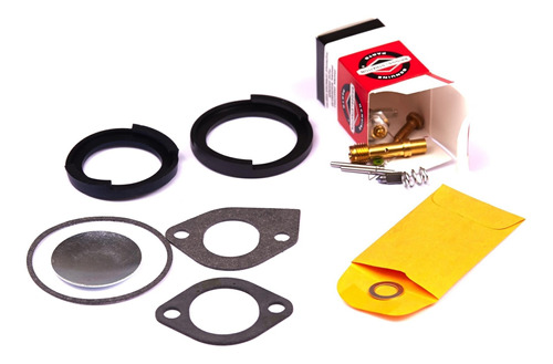 Briggs & ; Stratton 394698 Kit De Reparación De Carburador R