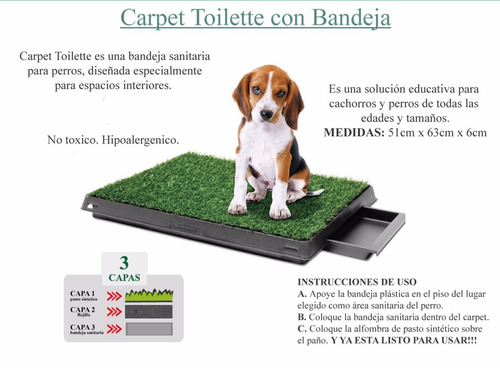 Alfombra Sanitaria De Pasto Para Perros Y Gatos *premium*