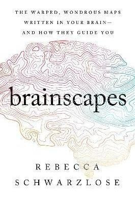 Libro Brainscapes : The Warped, Wondrous Maps Written In ...