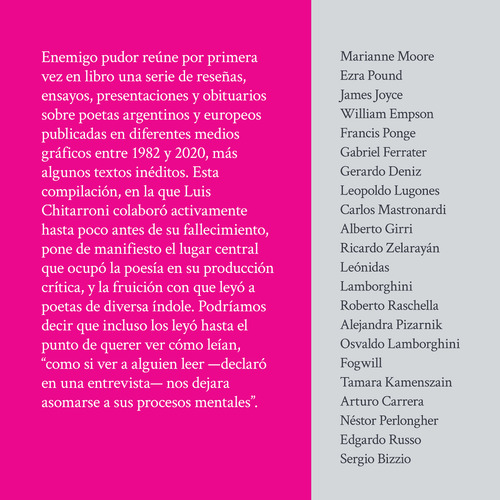 Luis Chitarroni / Enemigo Pudor / Ediciones Seré Breve 2023