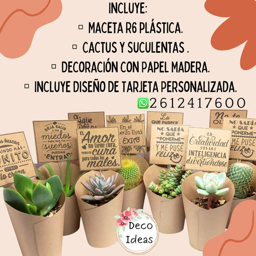 Souvenirs Cactus Y Suculentas X 12 Unidades