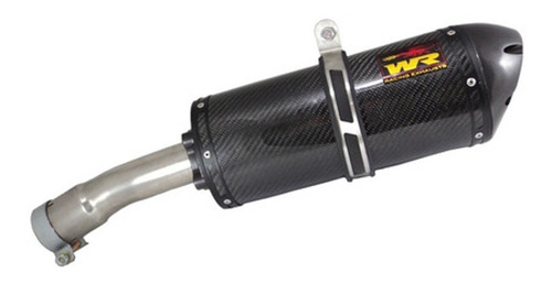 Ponteira Esportiva Wr Oval Fibra Carbono Bmw F 800 R