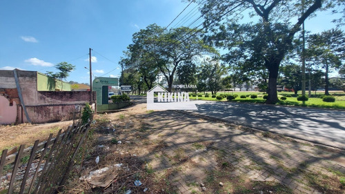 Imagem 4 de 4 de Terreno Para Venda - 02950.8870
