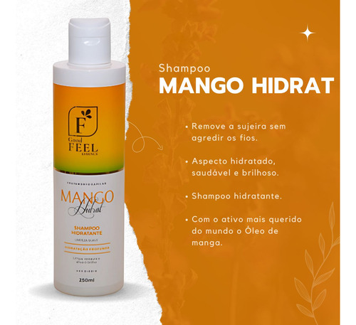 Shampoo Mango Hidrat 250ml Feel Essence Cabelos Seco