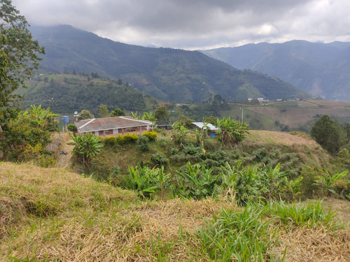 Finca  Vereda Miraflores, Piedecuesta- Santander  Metros: 1 Hectarea Y Media Aproximado  Tiene Una Casa