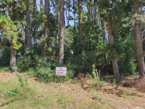Imagen 2 de 2 de Lote C/ Pinos Bien Ubicado, En El Bosque De Mar Azul.