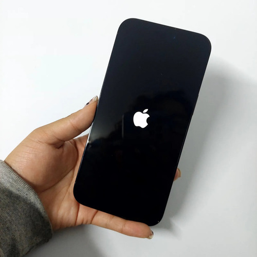 Apple iPhone 14 Pro Max (1 Tb) - Negro Espacial Ligeros Detalles De Uso En El Display, 96% Condición De Batería. (Usado)