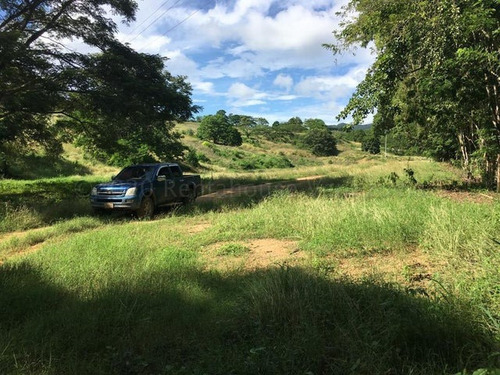 Imagen 10 de 30 de &&& Finca En Venta Aroa Yaracuy Rah 23-4755 // Invierta Seguro Con Rentahouse//