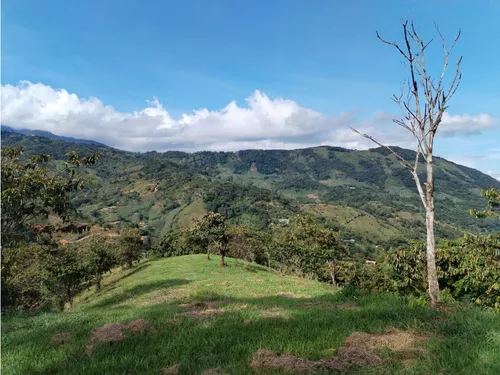 Lote En Venta, Los Cedros, Cocorná