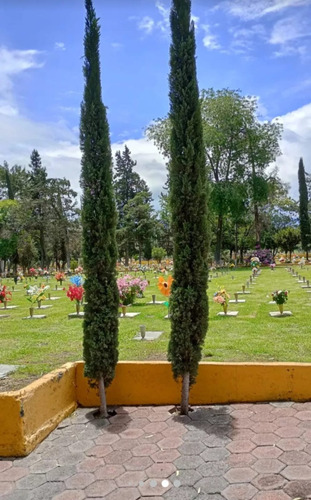 Lote, Panteón Jardines De Oriente