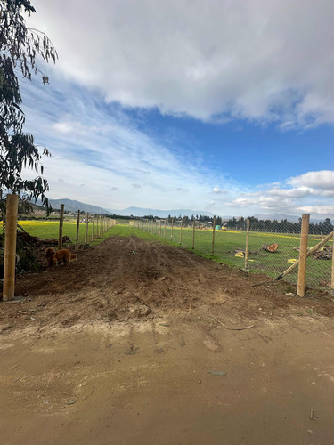 Terrenos 5.000mts2 Rol Propio Limache Sector Los Laureles