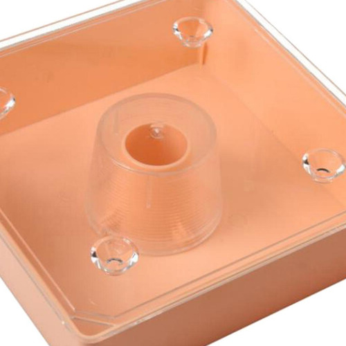Cuadrado Aprox. 2l Beehive Bee Feeder Apicultor Herramienta