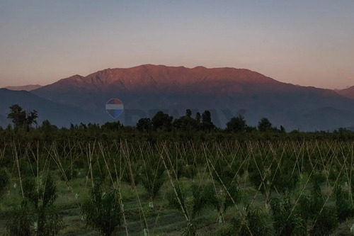 Parcelas En Venta Sector La Punta - Sin Comisión