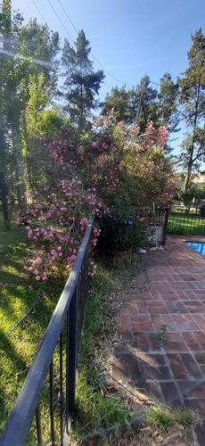 Imagen 5 de 19 de Casa - Villa Rosa