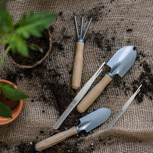 Pinzas De Acero Inoxidable Para Jardinería, Suculentas, 4 Un