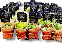 Comprar 150 Souvenirs Suculentas Plantitas Naturales Eventos Regalos