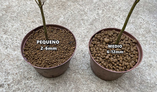 Imagem 5 de 6 de Akadama Japonesa 1 Litro Pequeno Substrato Bonsai