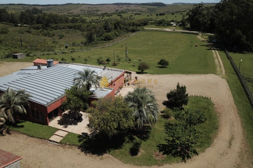 Estancia De 38 Has Con Salon De Fiestas, Cuenta Con Suelo Óptimo Para Plantación De Olivos Y Vid. Consulte!!!!!!!!-ref:2417