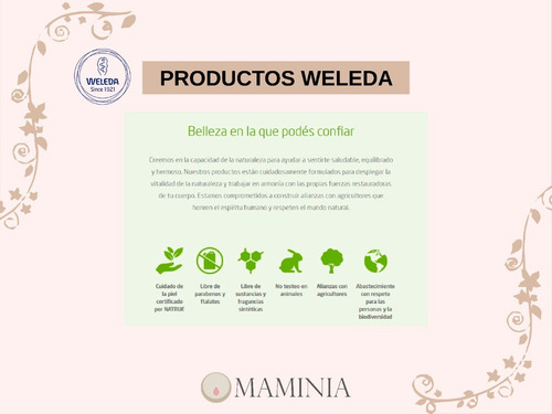 Imagen 10 de 10 de Cepillo Limpia Mamadera Y Tetinas - Baby Innovation