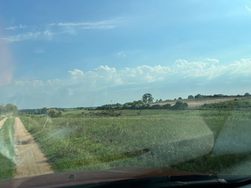Se Alquila Campo De 6 Has Ideal Para Plantación Con Un Alto Índice De Productividad En La Zona De Cno Al Bono En Progreso, Canelones.
