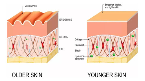 Serum Facial Con Matrixyl 3000 Ingrediente Eterna Juventud