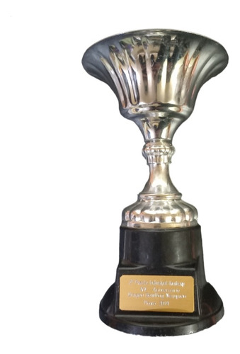 Trofeo Aniversario Dragon Bowling Neuquen Mayo 2014 Hondicop
