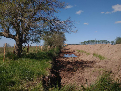 Campo Mixto En Chascomús - Permuta En La Plata