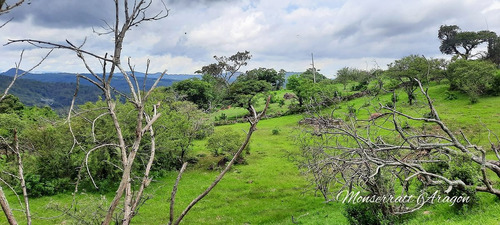 Increíble Terreno Con Manantial